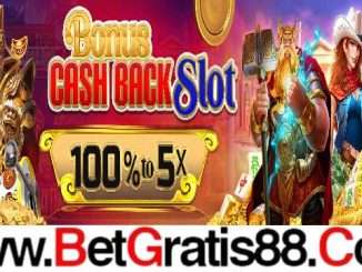 11BOLA BONUS CASHBACK SLOT 100% TO 5X